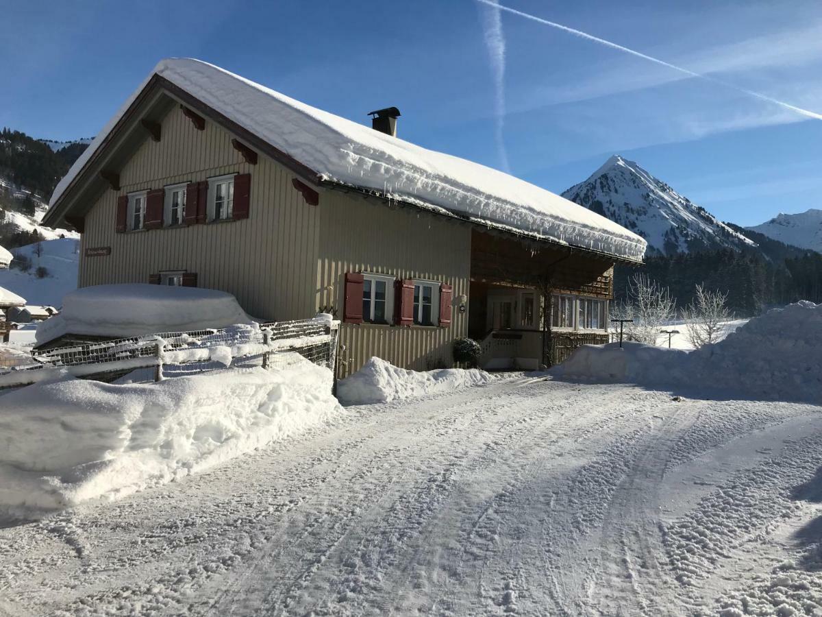 Апартаменти Haus Stabentheiner Au (Vorarlberg) Екстер'єр фото