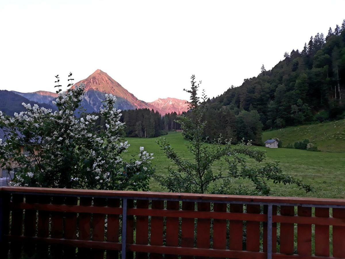 Апартаменти Haus Stabentheiner Au (Vorarlberg) Екстер'єр фото